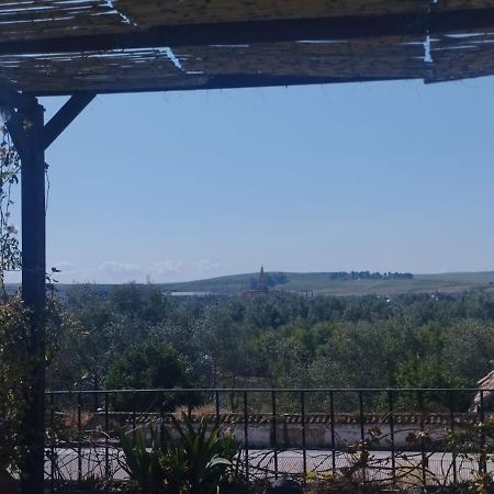 Appartement My Small Penthouse With Views.Tourism & Tranquility & Sun à Cordoue Extérieur photo